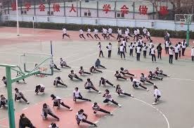 的掌